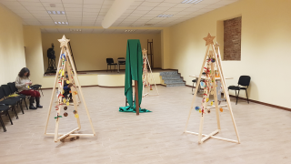 ALLESTIMENTO ALBERI PER MOSTRA (12)