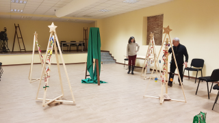 ALLESTIMENTO ALBERI PER MOSTRA (9)