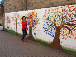 MURALES CON LE PRIMARIE